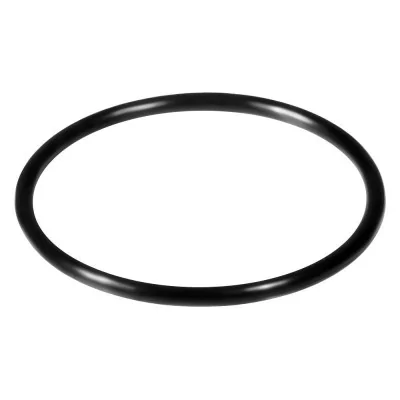 o-ring 2"