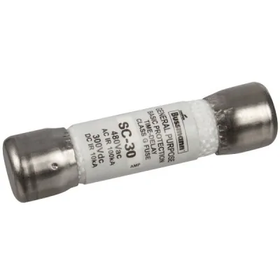Spa zekering 30 ampère 40 mmx 10 mm
